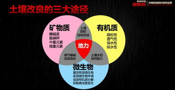 空談資源,沒(méi)有核心技術(shù)的企業(yè)注定被邊緣化