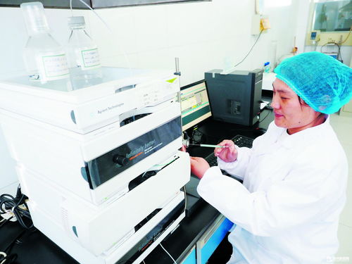德州瑞康生物科技 深耕研發，高端產品暢銷海外